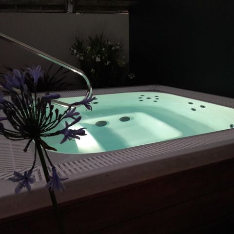 Camping la Forêt - Camping Vendée - Image N°6