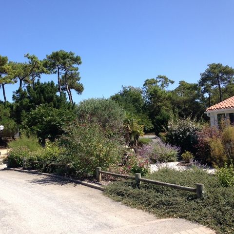 Camping Hibiscus - Camping Vendée - Image N°5