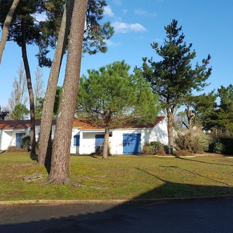 Camping Hibiscus - Camping Vendée - Image N°4