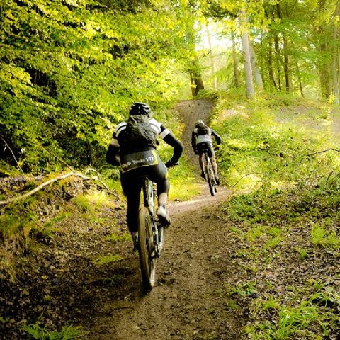 Camping l'Orée des Cévennes - Camping Gard - Image N°3