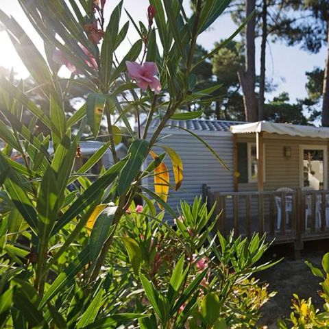 BUNGALOW 6 personnes - Confort 2 chambres - 4/6 personnes 