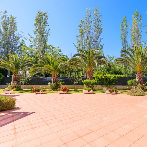 Résidence Village Park II - Camping Tarragone - Image N°3