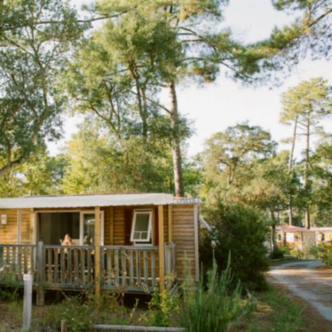 BUNGALOW 6 personnes - COTTAGE PREMIUM PP 3 ch 6 pers