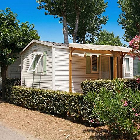BUNGALOW 4 personnes - COCOON - TV