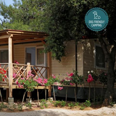 BUNGALOW 4 personnes - Mobile Home 4+2