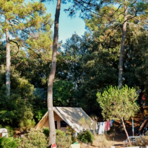 Emplacement - Confort avec élec