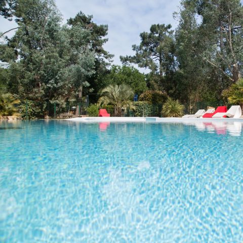 Nicoll's Camp/Pins - Camping Gironde - Image N°2