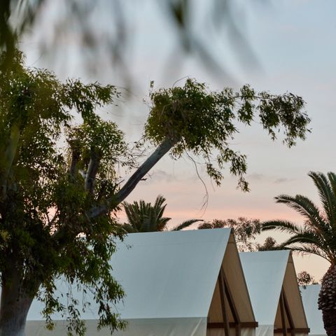 TENTE TOILE ET BOIS 2 personnes - Glamping Cabin-Tent Senyoret