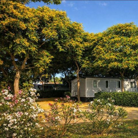 BUNGALOW 6 personnes - MH PREMIUM 2