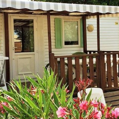 BUNGALOW 4 personnes - CONFORT SAFARI (terrasse couverte)