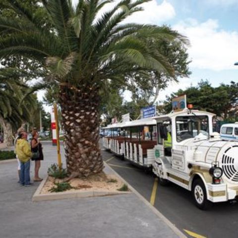 Camping de Pujol - Camping Pyrénées-Orientales - Image N°6
