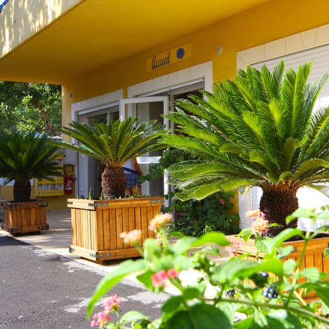 Camping International - Camping Var - Image N°4