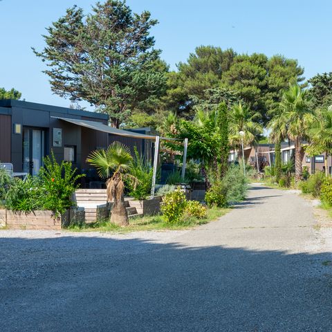 Domaine Les Mûriers - Camping Hérault - Image N°3