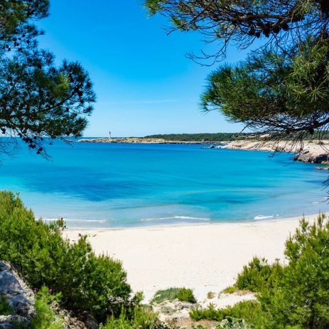 Camping La Source - Camping Bouches-du-Rhône - Image N°6