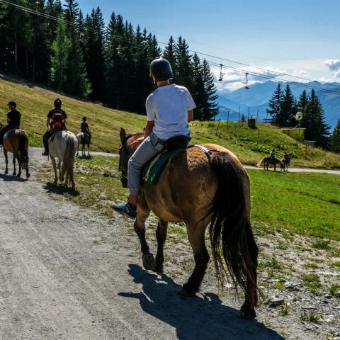 Camping Sainte Victoire - Camping Bouches-du-Rhône - Image N°6