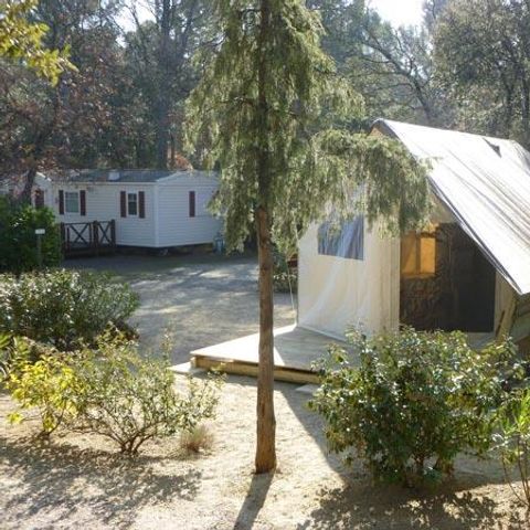 TENTE TOILE ET BOIS 4 personnes - Tente Junior 21 m² (sans sanitaires) - 2 chambres