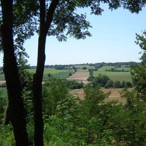 Le Domaine du Castex - Camping Gers - Image N°4