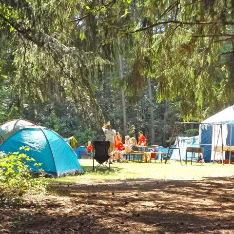 Camping Paradis - Albret - Camping Landes - Image N°6