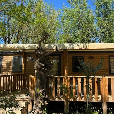 Tente en toile et en bois 6 personnes - Lodge Safari