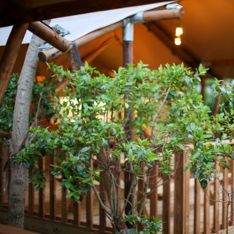 Tente en toile et en bois 4 personnes - Lodge Safari 27 m²