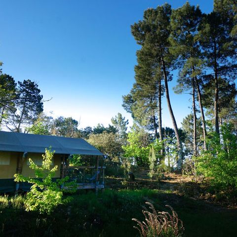 TENTE TOILE ET BOIS 5 personnes - Baroudeur (sans salle de bain privative)