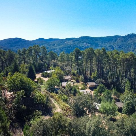 Bivouac nature - Camping Gard - Image N°2