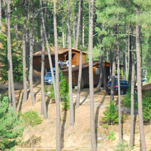 Camping La Forêt - Camping Gard - Image N°4