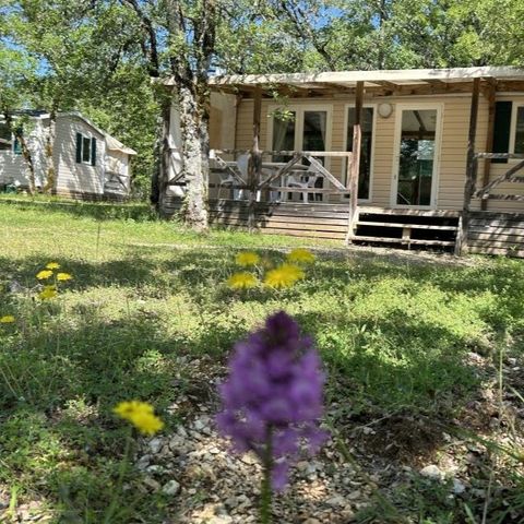 BUNGALOW 4 personnes - Loggia Confort - Climatisation - TV vue jardin