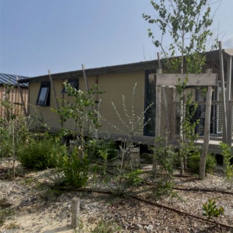 TENTE TOILE ET BOIS 5 personnes - TENTE LODGE "DUNE" (ext. toile) 2 chb. 4/5 pl.