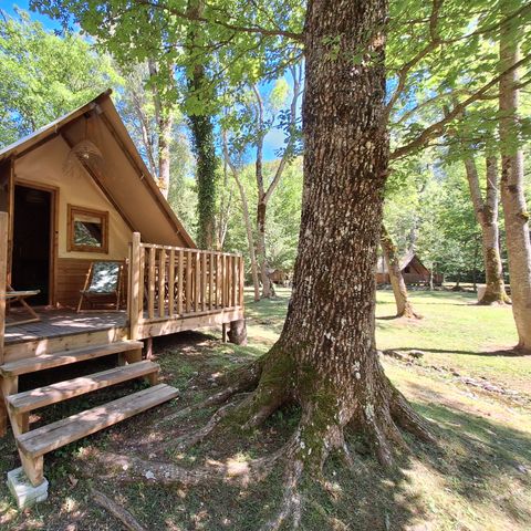 TENTE TOILE ET BOIS 5 personnes - Tente AMAZONE sans sanitaire PRIX POUR 2 PERSONNES