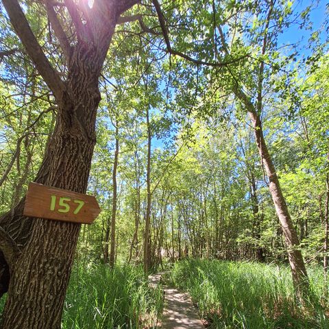 Tente en toile et en bois 2 personnes - Flo'Tente 2 pers