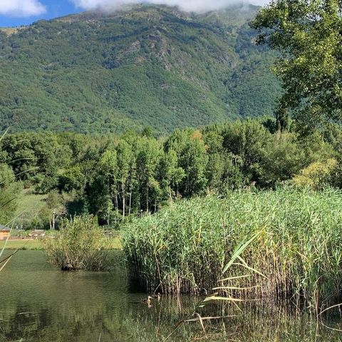Tente en toile et en bois 2 personnes - Flo'Tente 2 pers