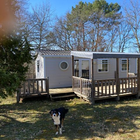 BUNGALOW 6 personnes - Familial Classic ++ Ohara 834 3Ch