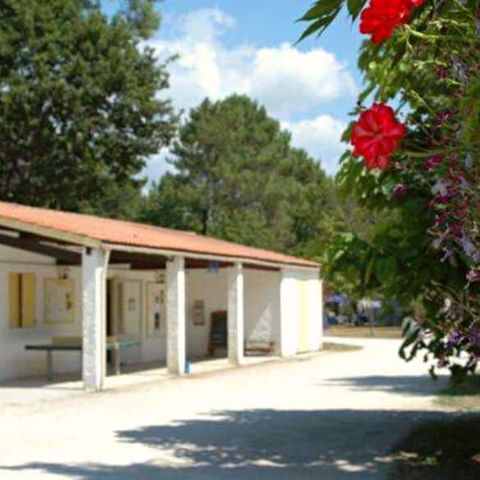 Camping Le Littoral - Camping Gironde - Image N°5