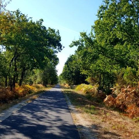 Camping Le Littoral - Camping Gironde - Image N°6