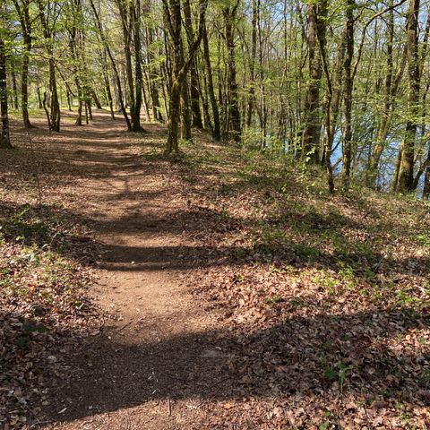 Domaine La Valade - Camping Corrèze - Image N°6