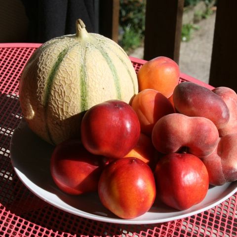 Aire Naturelle de Camping Les Cerisiers - Camping Loire - Image N°3