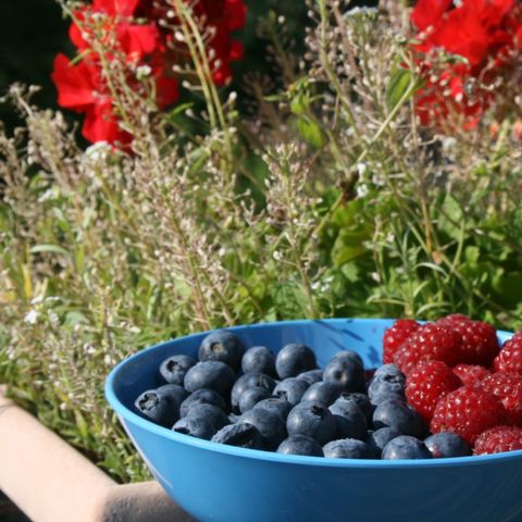 Aire Naturelle de Camping Les Cerisiers - Camping Loire - Image N°4