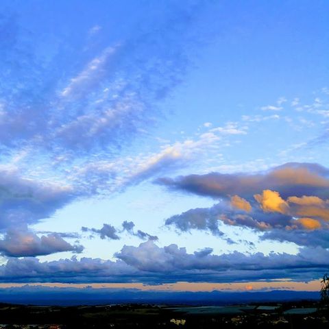 Aire Naturelle de Camping Les Cerisiers - Camping Loire - Image N°6