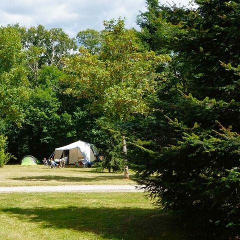 Emplacement - Forfait emplacement Confort Grande Taille 120m²