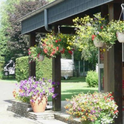 Camping Les Dômes - Camping Puy-de-Dôme - Image N°6