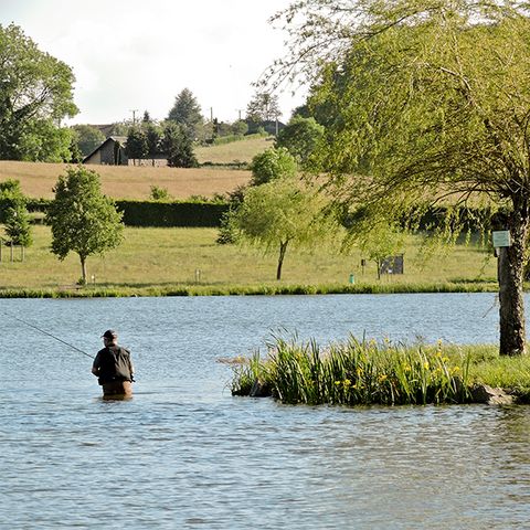 Camping L'Etang Philippe - Camping Puy-de-Dôme - Image N°3
