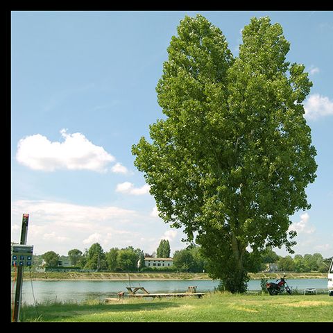 Emplacement - Pêche