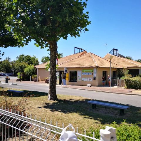 Camping du Lac de Saint-Cyr - Camping Vienne - Image N°3