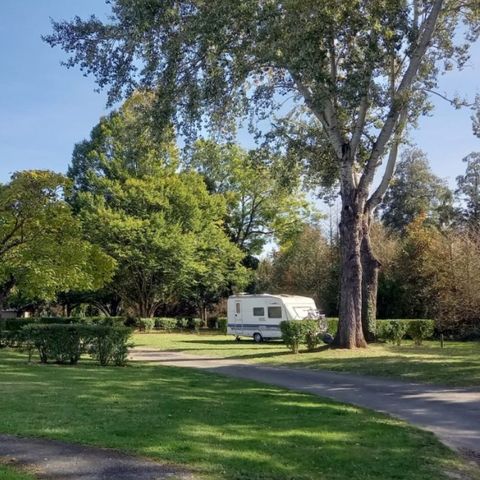 Camping Le Sabot - Only Camp - Camping Indre-et-Loire - Image N°2