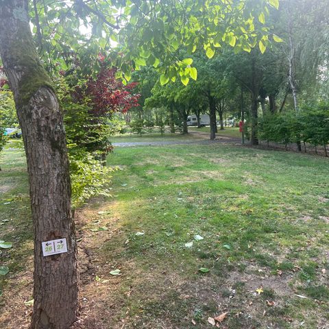 Emplacement - Grand Confort +