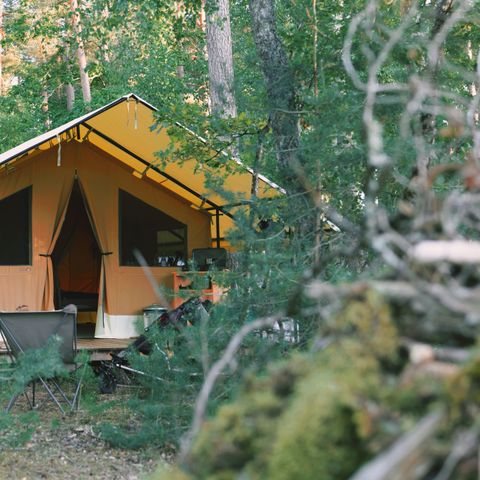  Le camping des Pins-Only Camp - Camping Cher - Image N°5