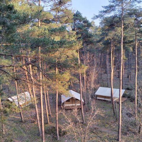  Le camping des Pins-Only Camp - Camping Cher - Image N°4