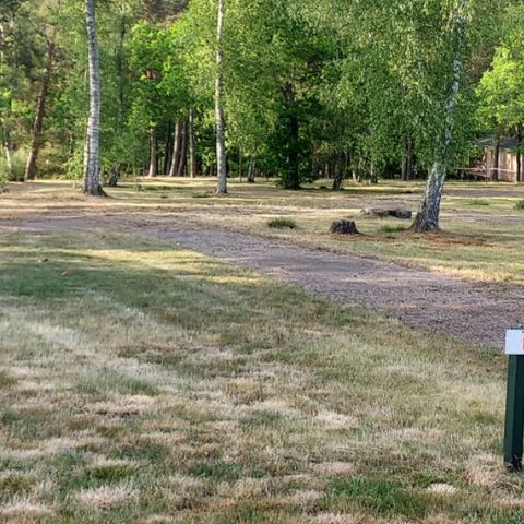  Le camping des Pins-Only Camp - Camping Cher - Image N°2