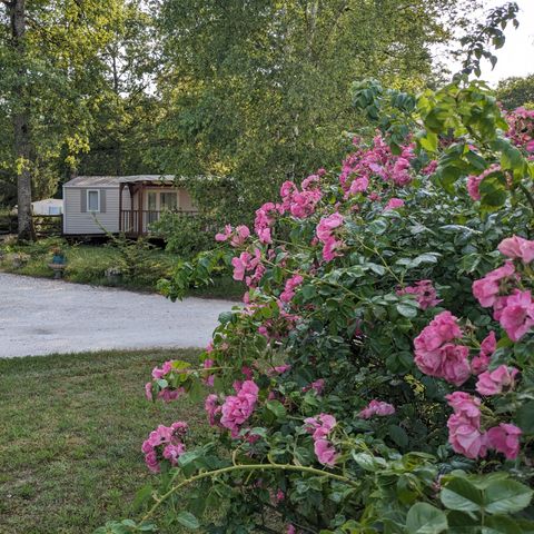 Camping Le Bois Guillaume - Camping Yonne - Image N°6